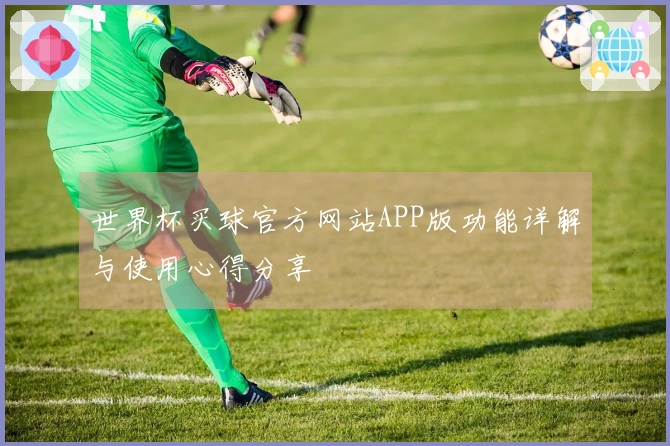 世界杯买球官方网站APP版功能详解与使用心得分享