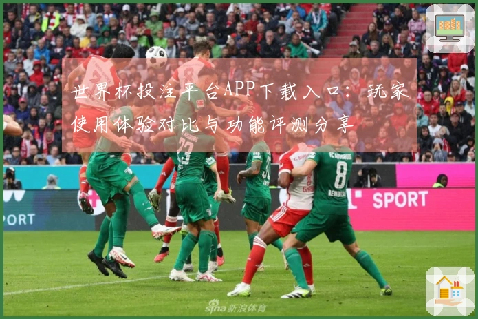 世界杯投注平台APP下载入口：玩家使用体验对比与功能评测分享