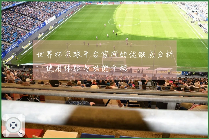 世界杯买球平台官网的优缺点分析：使用体验与功能介绍