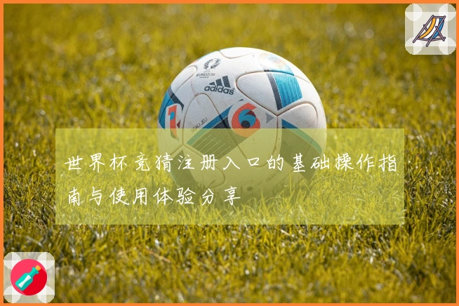 世界杯竞猜注册入口的基础操作指南与使用体验分享
