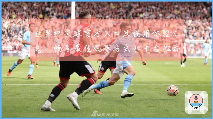 世界杯买球官方入口及使用体验汇总,畅享最佳观赛方式和平台推荐