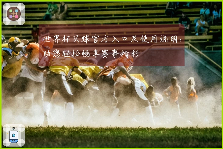 世界杯买球官方入口及使用说明,助您轻松畅享赛事精彩
