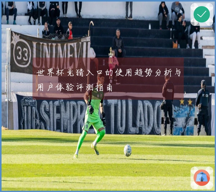 世界杯竞猜入口的使用趋势分析与用户体验评测指南
