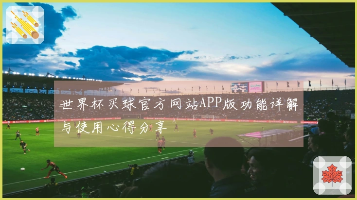 世界杯买球官方网站APP版功能详解与使用心得分享