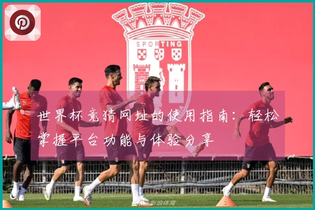 世界杯竞猜网址的使用指南：轻松掌握平台功能与体验分享