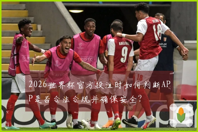 2026世界杯官方投注时如何判断APP是否合法合规并确保安全？