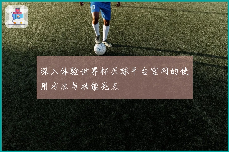 深入体验世界杯买球平台官网的使用方法与功能亮点