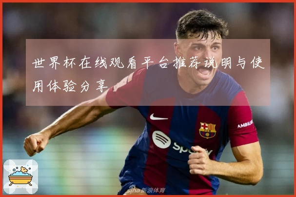 世界杯在线观看平台推荐说明与使用体验分享