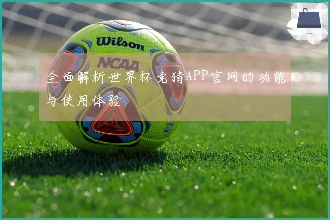全面解析世界杯竞猜APP官网的功能与使用体验