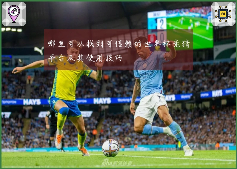 哪里可以找到可信赖的世界杯竞猜平台及其使用技巧