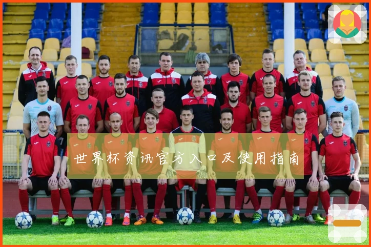 世界杯资讯官方入口及使用指南