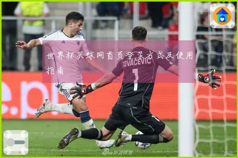 世界杯买球网首页登录方式及使用指南
