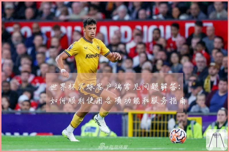 世界杯买球客户端常见问题解答：如何顺利使用各项功能和服务指南